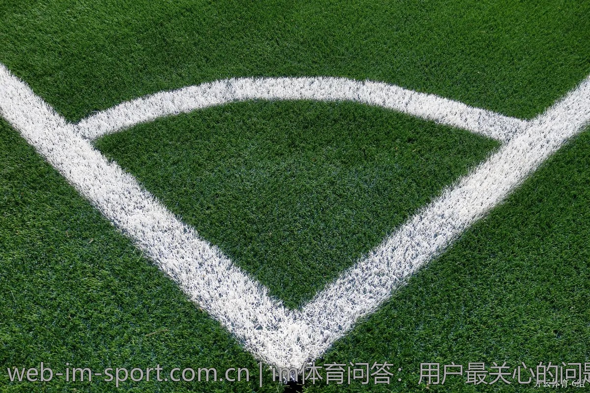 im体育问答：用户最关心的问题是什么？