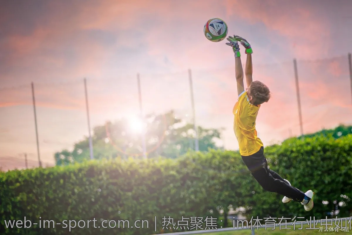 热点聚焦:im体育在行业中如何抢占市场?