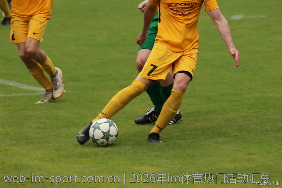 2026年im体育热门活动汇总,参与不再错过