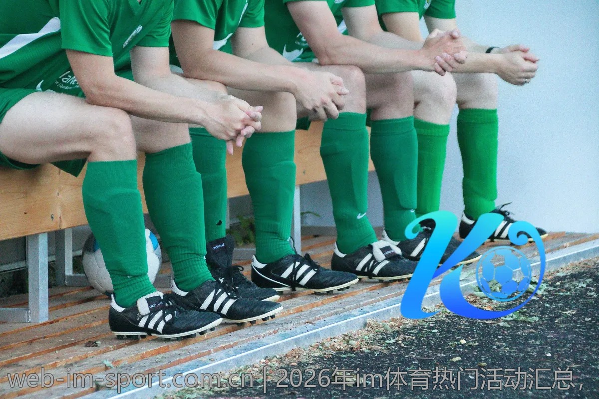 2026年im体育热门活动汇总,参与不再错过
